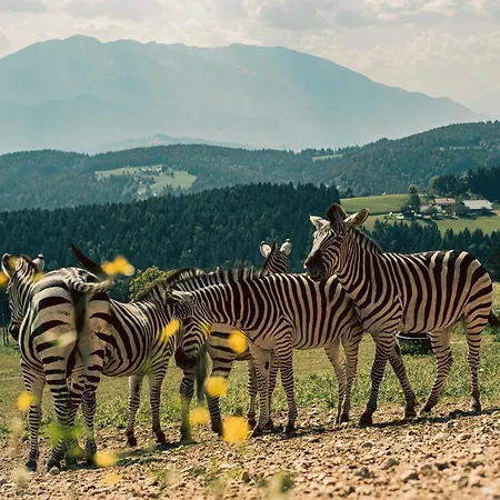 Wild Park Panorama With Hot Tub And Sauna Tolsti Vrh pri Ravnah naKoroskem