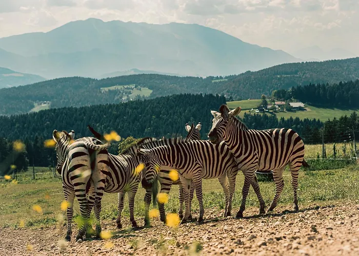 Wild Park Panorama With Hot Tub And Sauna Tolsti Vrh pri Ravnah naKoroskem